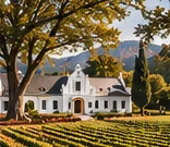 The Boschendal manor house under oak trees