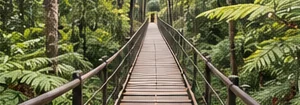 A suspension bridge through the Tsitsikamma forest